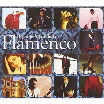 Beginner's guide to flamenco