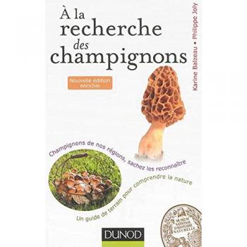 A la recherche des champignons