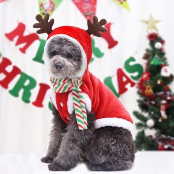 Bufanda para perros