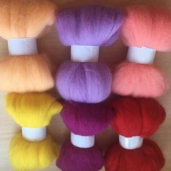 Handmade Wool Felt Poke Fun Set 10g/6pcs/lot 60g