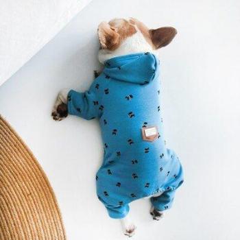 Festlicher Weihnachts-Hoodie für Hunde