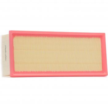 RIDEX Filtro aria motore 1444QA