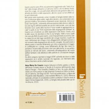 La gestione della crisi familiare. Separazioni e divorzi nell'Italia contemporanea