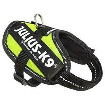 Julius K9 Neon Yellow Idc Harness