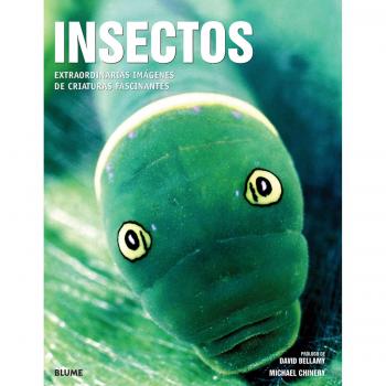 INSECTOS