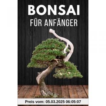 Bonsai für Anfänger: Das Wichtigste zur Bonsai-Pflege