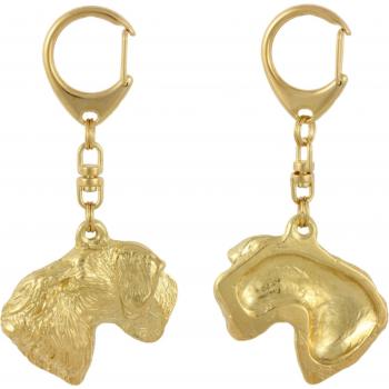 Czech Terrier Elegance Dog Ring