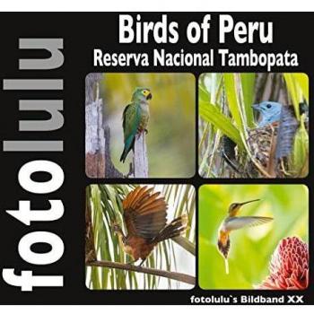 Birds of Peru