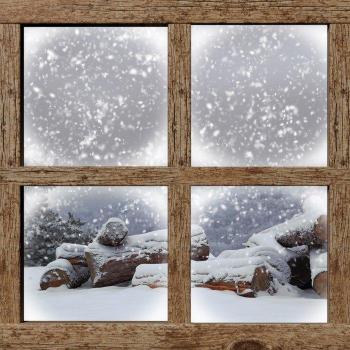 Decoración de Pared 3D Invernalia