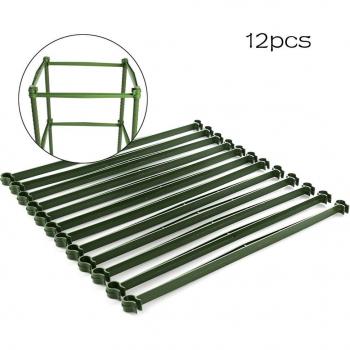 Structure Croissance Créative