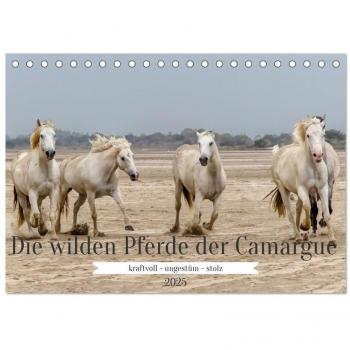 Die wilden Pferde der Camargue (Tischkalender 2025 DIN A5 quer) CALVENDO Monatskalender