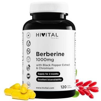 Hivital Berberin 1000 mg | 120 vegane Kapseln