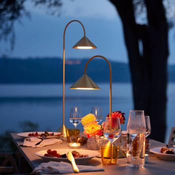 Frandsen Brushed Brass Grasp Table Lamp (47 cm)