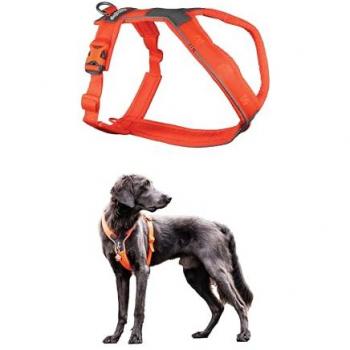 Kurzgeschirr 5.0 Orange für aktive Hunde – Non‑stop Dogwear