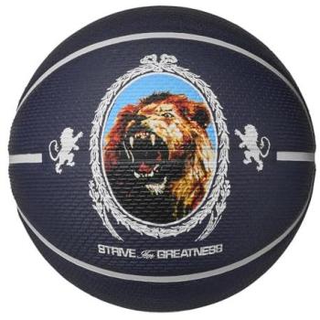 Basketball Nike Playground 2.0 LeBron James 8P Deflated