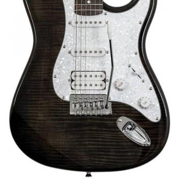 Washburn SDFTB Transparent Black Edition
