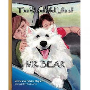 The Wonderful Life of Mr. Bear