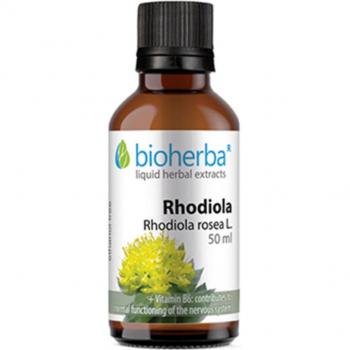 Rhodiola Rosenwurz Tinktur 50ml