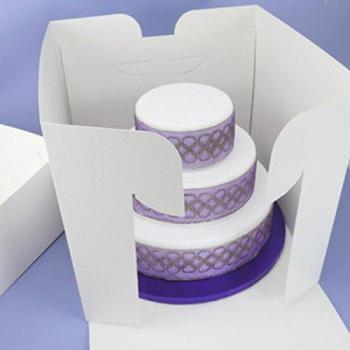 14 x 13 Inch Tall Cake Storage Box