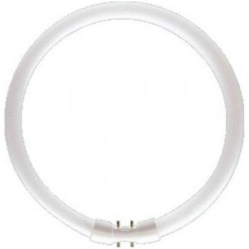 Philips TL5-C Pro Lampada Fluorescente 60W Luce Bianca Naturale