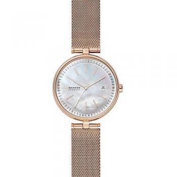 Orologio in Acciaio Inossidabile Skagen SKW2980