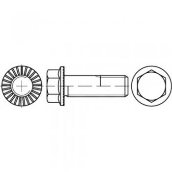 TOOLCRAFT M8 Außensechskantschrauben 45 mm 200 Stück