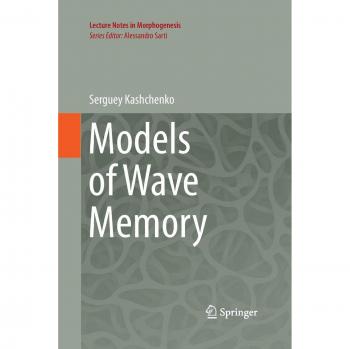 Models of Wave Memory