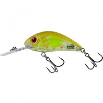 Salmo Wobbler Rattlin Hornet Clear Ayu