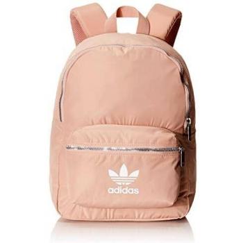 Adidas Sac à Dos de Sport Femme Nylon W BP, Ash Pearl s18, FR Unique (Taille Fabricant : NS)
