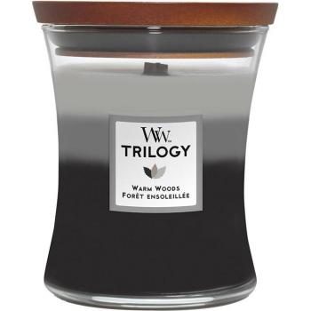 WoodWick Warm Woods Medium Candle