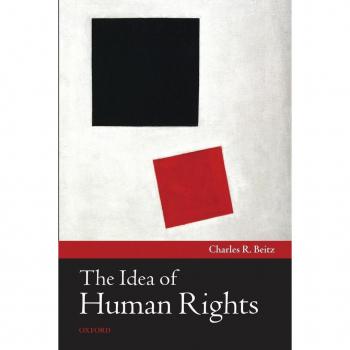 The Idea Of Human Rights (Paperback)