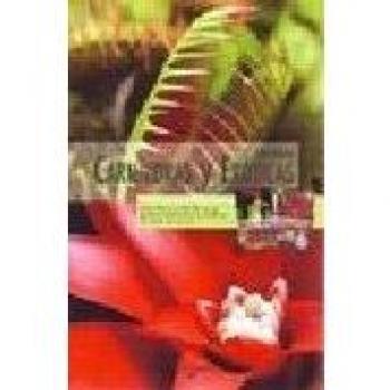 Como Se Cultiva En Invernadero