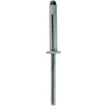 Restagraf Rivets Expansés Peints – Modèle 4530 (Blanc) – 250 pièces