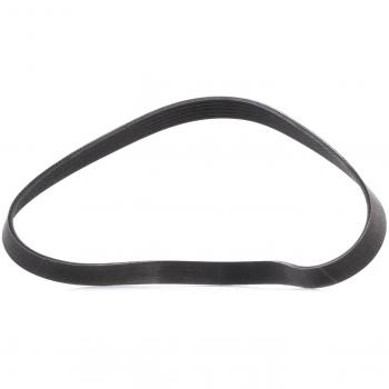 RIDEX PLUS 305P0311P Flerspårsdrivrem