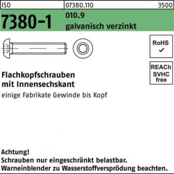 Verzinkte Linsenschraube M8 x 8mm