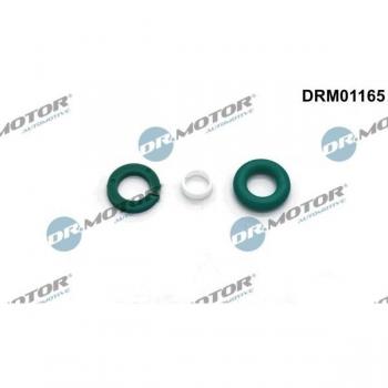 AutoInjection Seal Kit DRM01165