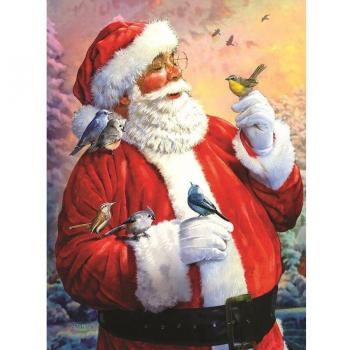Peinture Diamant DIY Père Noël Oiseaux 20x30 cm 5D