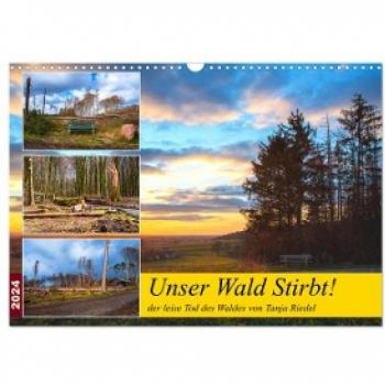 Unser Wald Stirbt (Wandkalender 2024 DIN A3 quer) CALVENDO Monatskalender