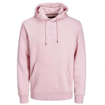 Jack & Jones Bluarchie Hoodie