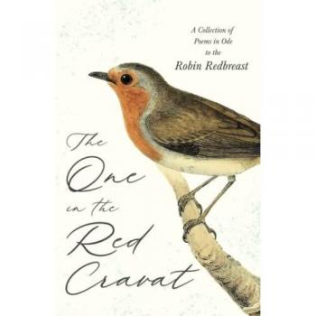 The One in Red Cravat