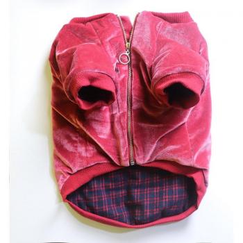 Veste Douillette pour Chiens de Taille Moyenne