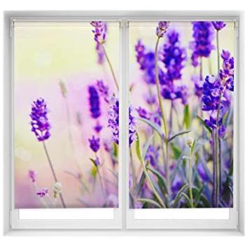 Estores Translúcidos para Ventanas