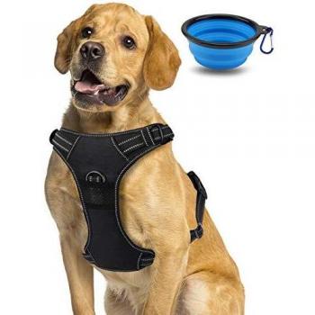 Super-Comoda Pettorina Morpilot – Ideale per Jogging, Taglia L
