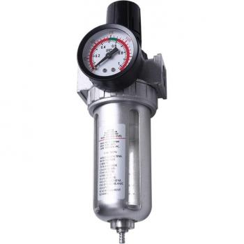 1/2 Inch SFR400 Air Filter Regulator with Pressure Gauge
