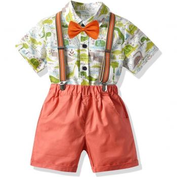 Cartoon Dinosaur Newborn Tracksuit