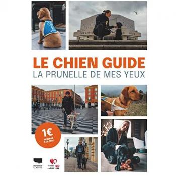 Le chien guide : la prunelle de mes yeux