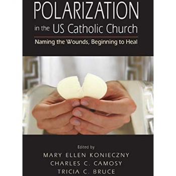 Polarization in the US Catholic Church