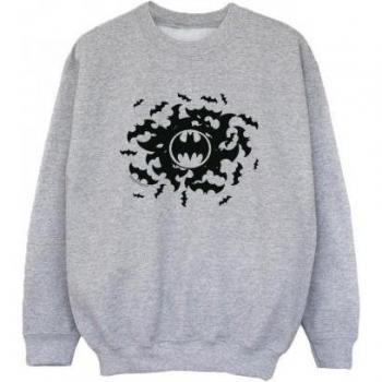 DC Comics Batman Sweatshirt for Boys