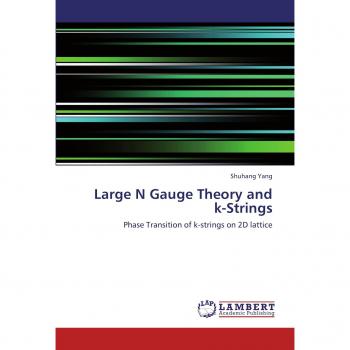 Large N Gauge Theory and k-Strings: Phase Transition of k-strings on 2D lattice