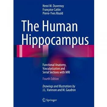The Human Hippocampus